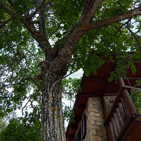 φιλάνθη Κάτω Τρίκαλα Κορινθίας