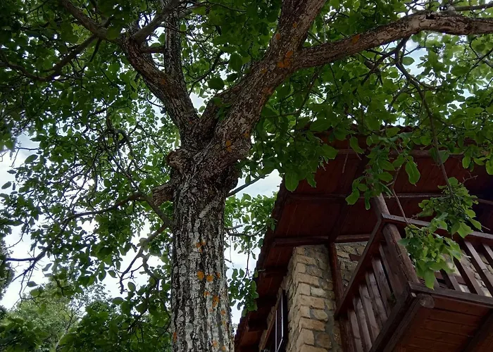 φιλάνθη Κάτω Τρίκαλα Κορινθίας